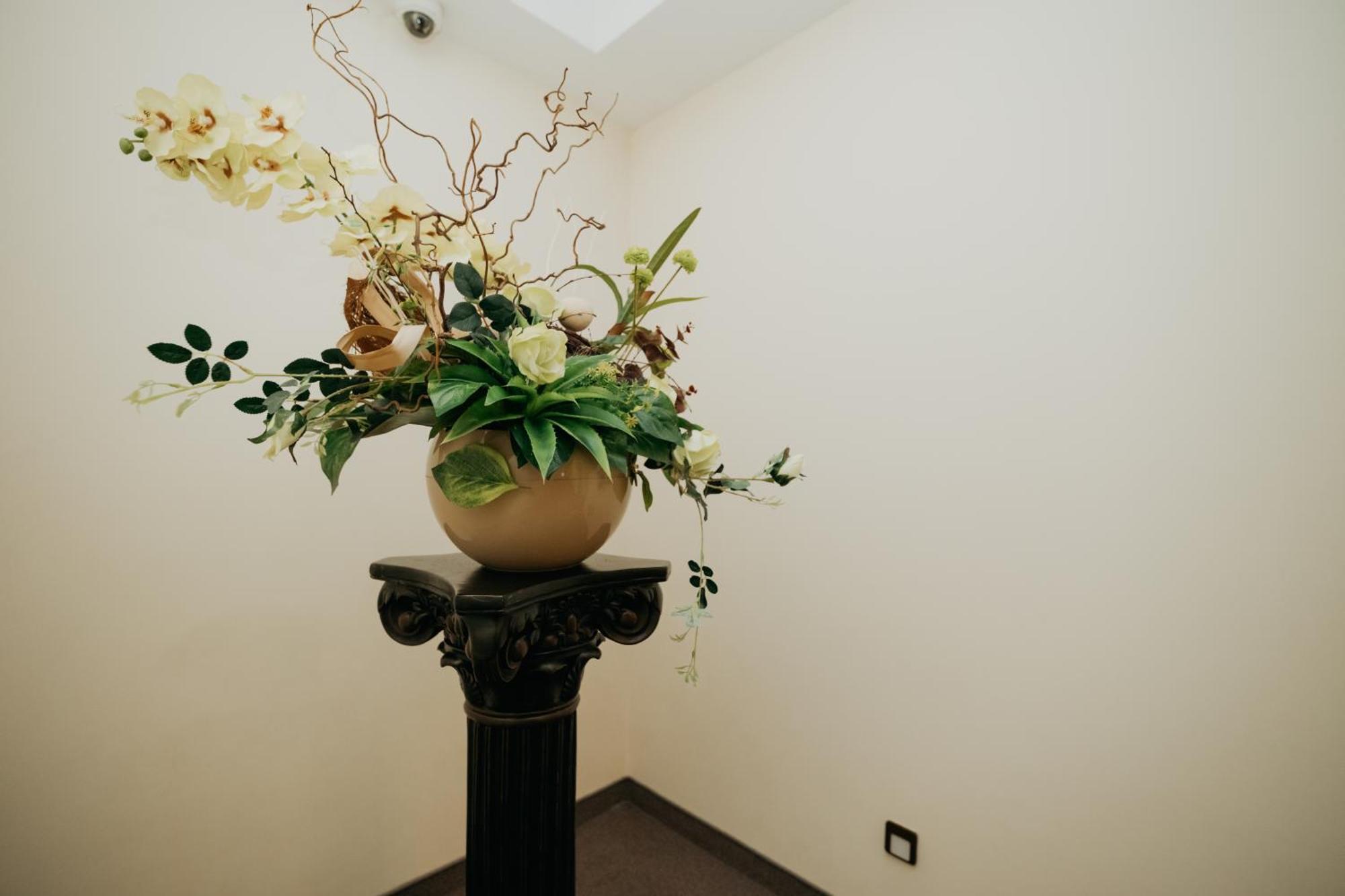 Noclegi - Apartamenty Zolynianka Buitenkant foto
